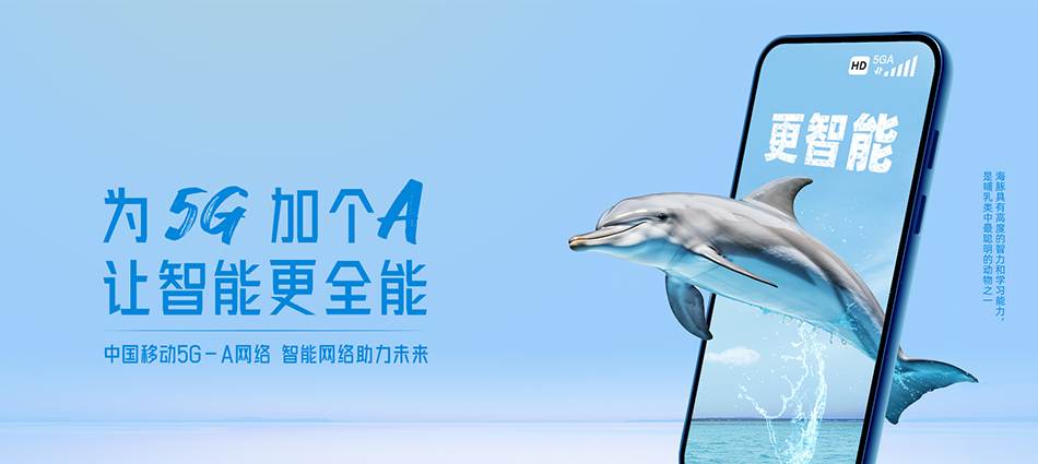叉河移动宽带移动宽带新装价格表