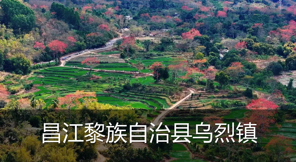 昌江黎族自治县乌烈镇
