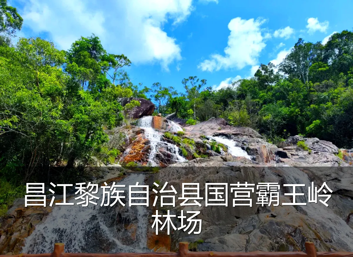 昌江黎族自治县国营霸王岭林场